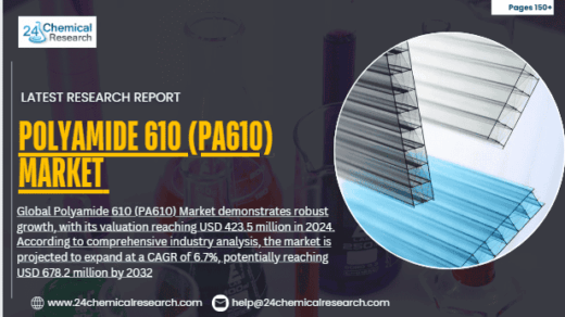 Polyamide 610 (PA610) Market Global Forecast Report 2025–2032: Segment Insights, Innovation Trends & Leading Players